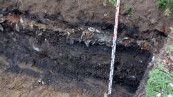 PFAS, Sanierung von Altlasten