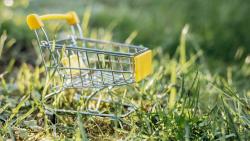 Kreislaufwirtschaft, nachhaltige Beschaffungen